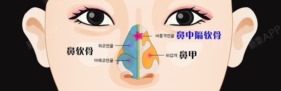 首页 此页面仅支持预览 Avatar 新氧韩国服务站 557篇日记 有鼻炎的宝宝们肯定都是这样的 鼻子总是堵塞一直不透气 晚上呼吸不畅还睡不着觉 用了很多药物 试过很多偏方 跑了很多次大医院 但是都不见效果 其实有一招就能治好 不看你就亏大了 准备