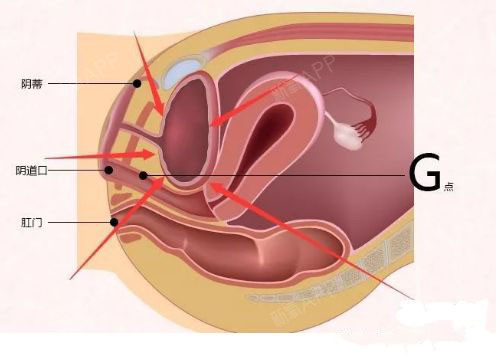 g点注射,让女人找回久违的激情,飘飘欲仙!