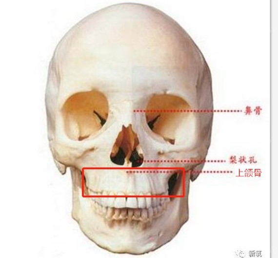 嘴唇的形态倒不会改变,比如嘴唇的唇线清晰与否,形状,但 上唇会比下唇