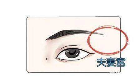 太阳穴在面相学中被称为夫妻宫 太阳穴凹陷 不仅让你的脸型