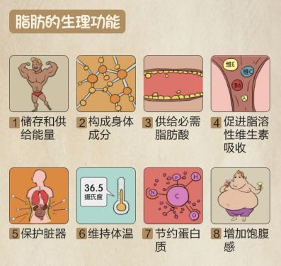 人体脂肪可以全部吸干净吗?