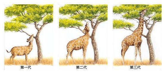 私密整体健康观