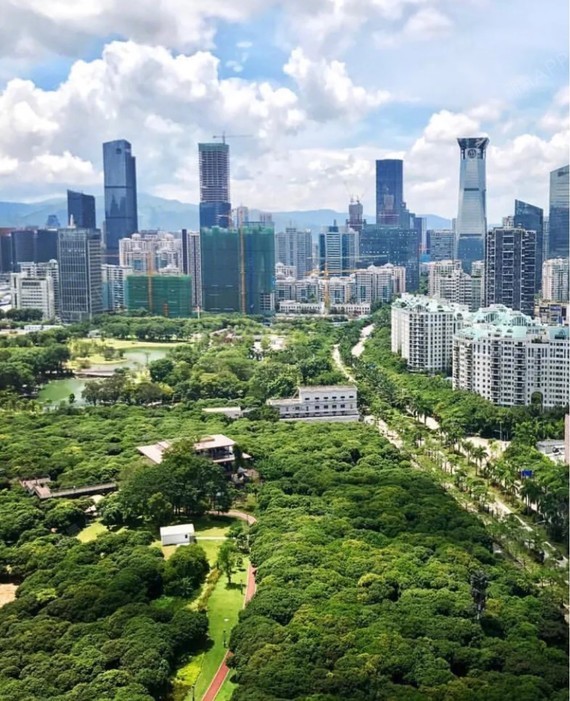 今天给大家安利深圳最美公园,香蜜公园!情侣散