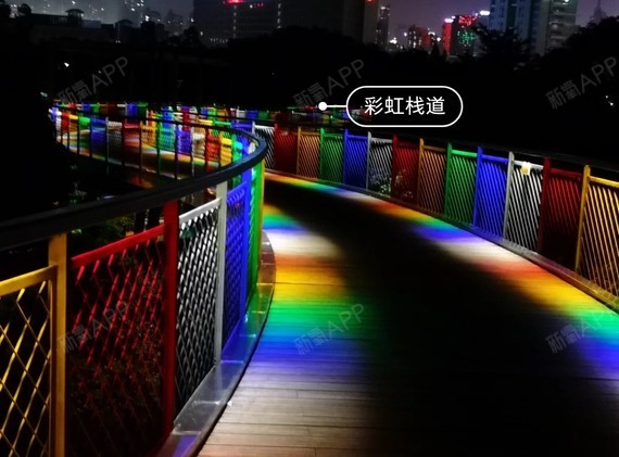 今天给大家安利深圳最美公园,香蜜公园!情侣散