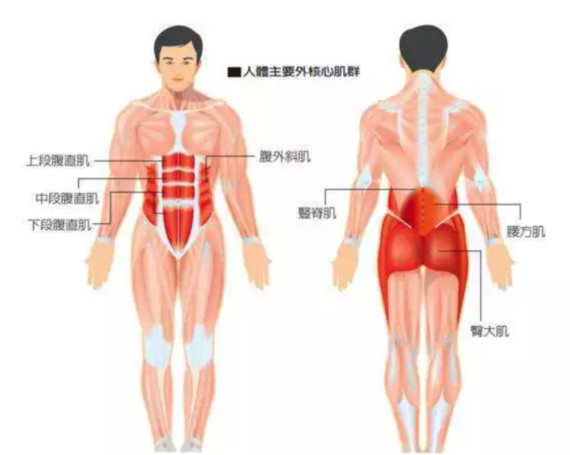 [:158]除了膀子之外,腰围也是_圈子-新氧美容整形