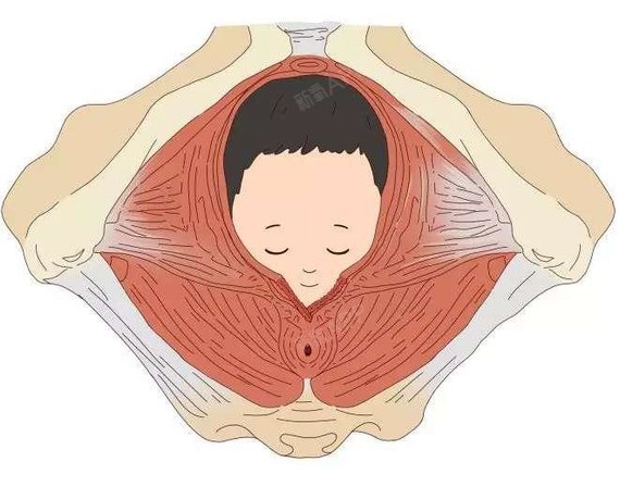 身體會分泌一種叫