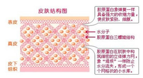 2019胶原蛋白排行抗衰老产品你选对了吗