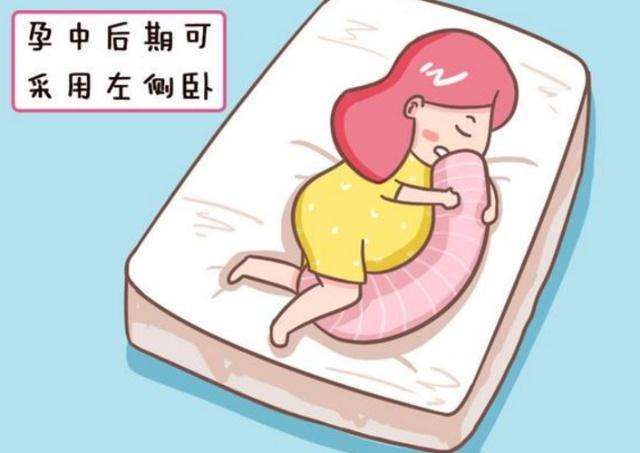 不但不利于生理功能的发挥,而且也不能消除疲劳,孕妇常常感到腰痛