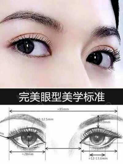 新月型,开扇型,平行型,什么样的适合?