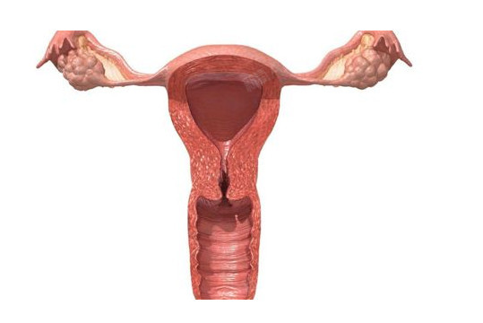 圈子-新氧美容整形