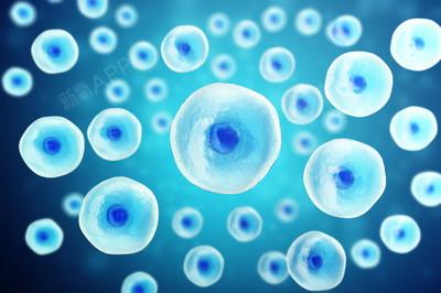 益母草治疗闭经吗?提前闭经怎么办?这样调理