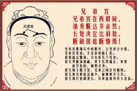 首页 此页面仅支持预览 Avatar Baby哥baby哥 223篇日记 Baby哥相面之 二 兄弟宫各位宝宝大家好 Baby哥上一期的看面相大家都看了吗 上次说到面相分为十二宫 每一宫都是至关重要的 上一期也分享了福德宫 那本期我就继续给大家分析面相十二宫之