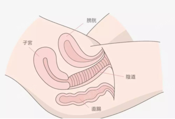 9012,这是个颜值就是正义的年份.