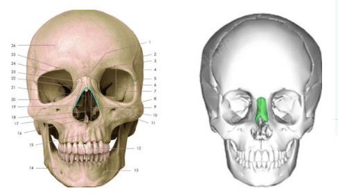 _圈子-新氧美容整形