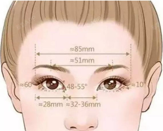 赢在特点 眼间距宽