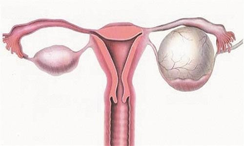 42岁女人怎么保养卵巢?吃什么保护卵巢子宫?卵巢功_圈子-新氧美容整形
