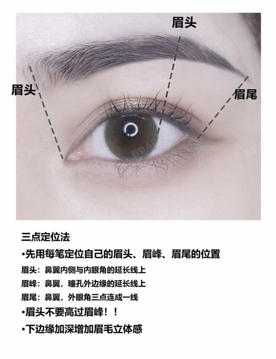 眉毛