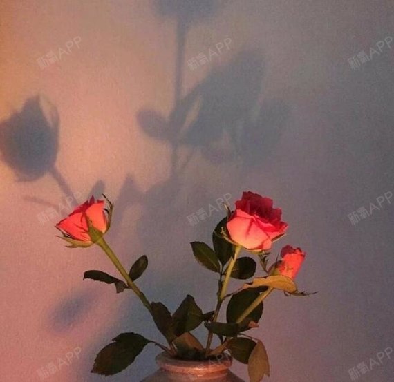 现在的颜色真的很好看,特别粉嫩,就像未经人事的时候_圈子-新氧美容