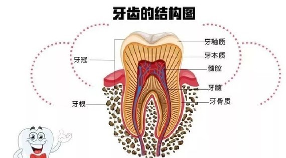 牙洞不补,反而根管治疗?