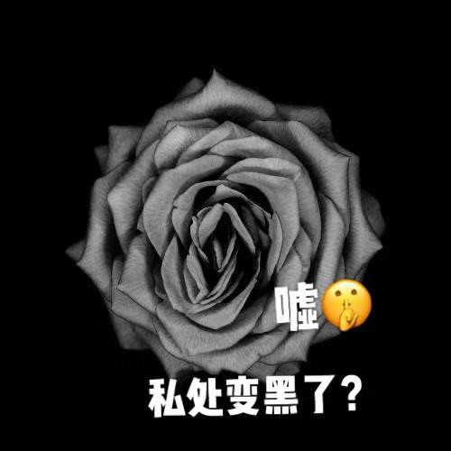 外阴唇为什么会黑_外阴唇为什么会黑_外阴唇为什么会黑