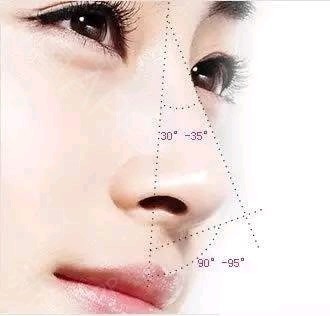 什么样的鼻子最好看最美的四种鼻形你符合吗