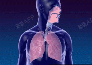 下颌式呼吸动图图片
