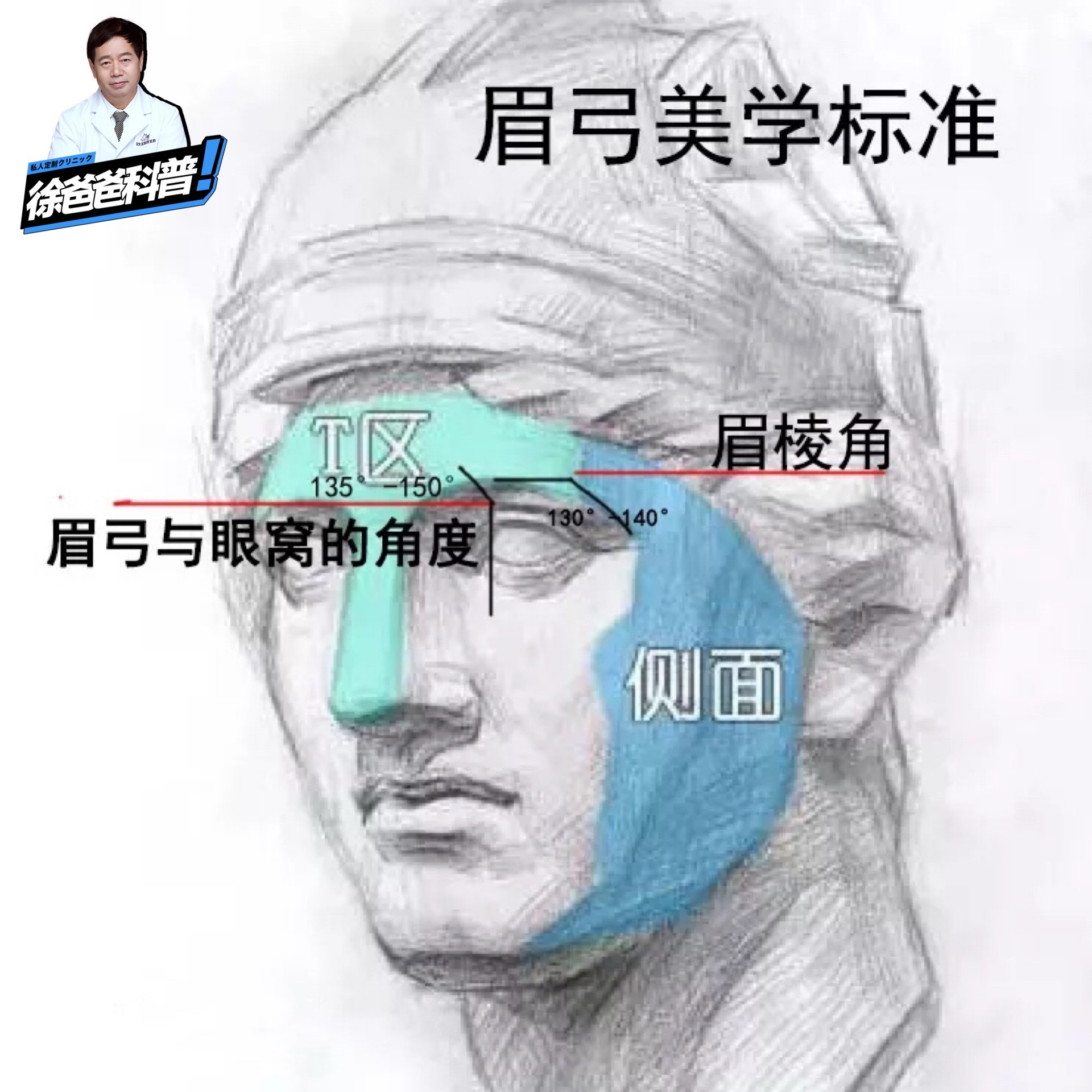 眉弓解剖位置图片