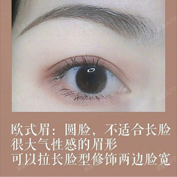 欧式眉适合什么脸型图片