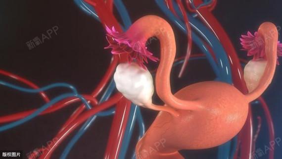 不敢面对?卵巢萎缩怎么办,多吃什么可以保养卵巢