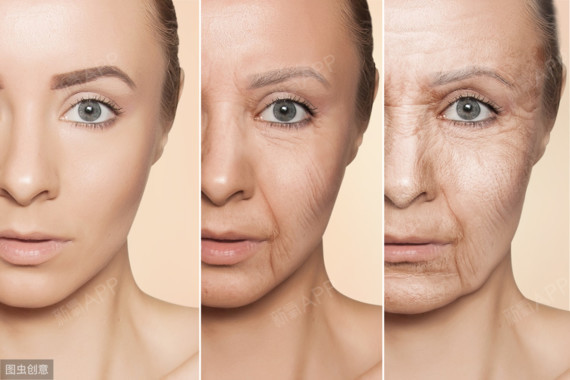 对于女性来说卵巢是年轻的象征,抗衰老不是只顾一个地方,擦点只到表皮