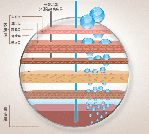 480_432gif 动态图 动图