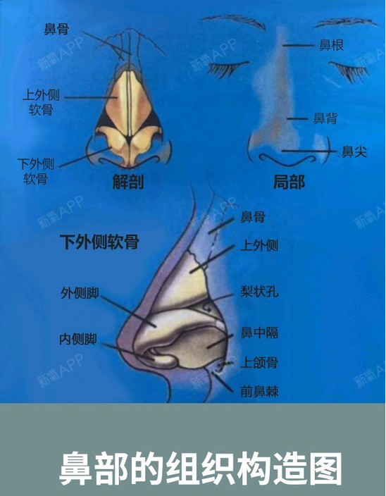 吴亦凡