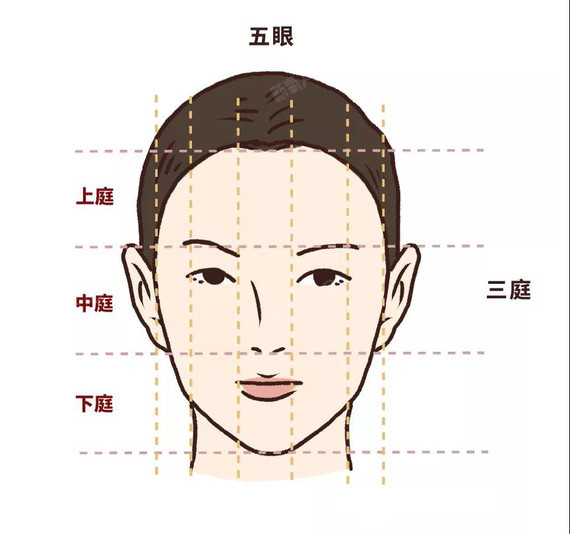怎么根据三庭五眼选发型?选对了效果堪比整容