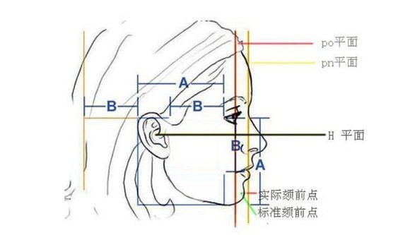 完美侧脸比例示意图图片