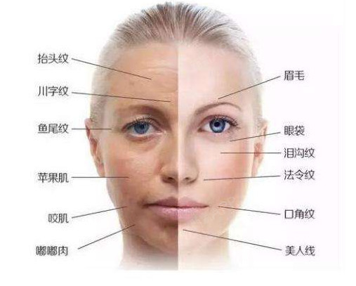 分类,分为大分子,小分子;大分子玻尿酸可以有塑形的效果,适合用做面部