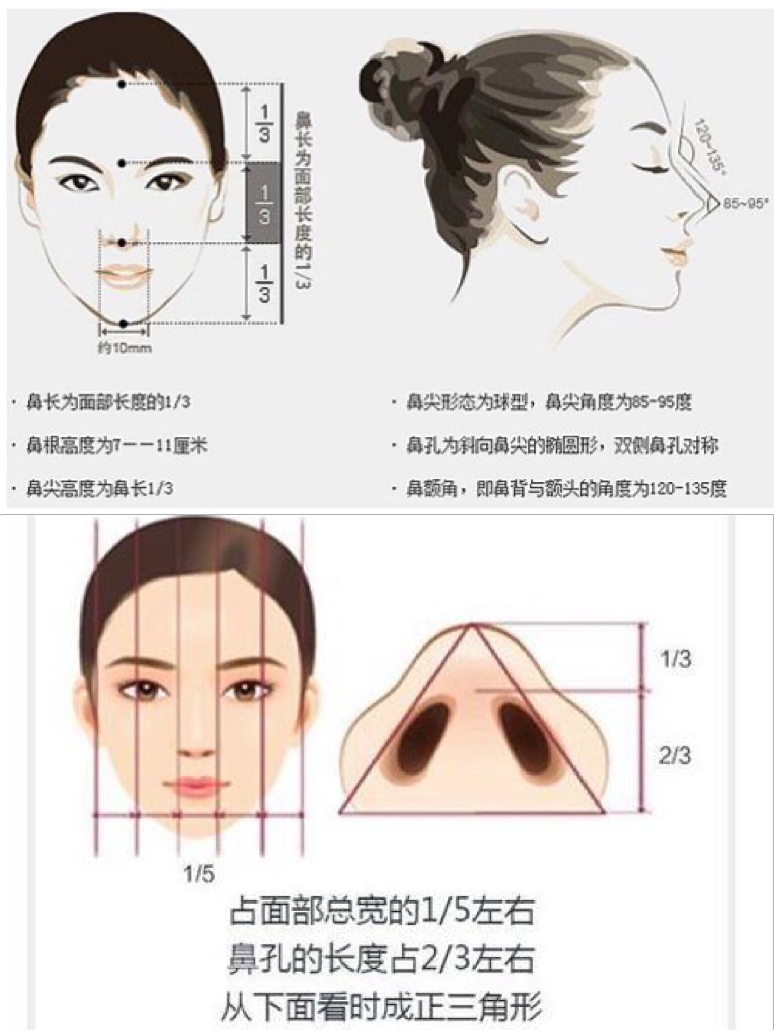 好看的鼻子都符合一定的美学比例.就算有偏差,也不会差到哪去.