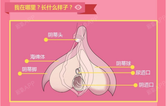 私密整形#阴蒂也可以高潮