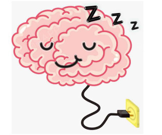 学生提高记忆力的食物有什么,补脑增强记忆力营养品别_圈子-新氧美容