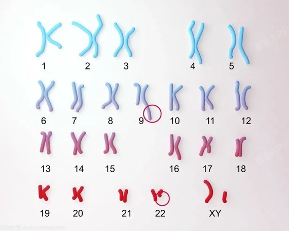 染色体结构畸变简式图片