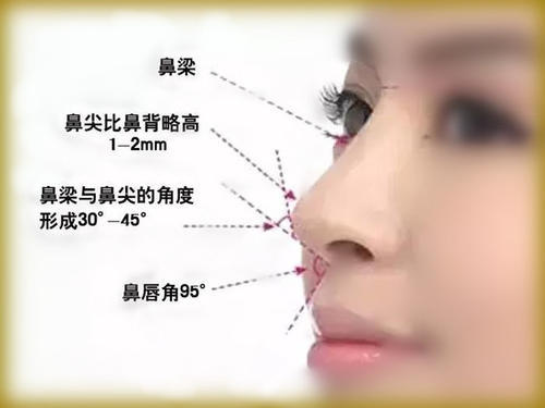 科普|鼻小柱又短又宽,你还敢说自己精致?