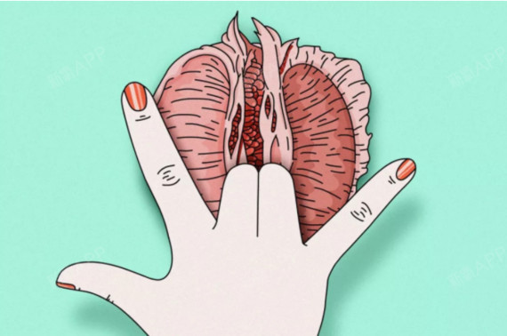 先来科普了解下,什么是阴道松弛?