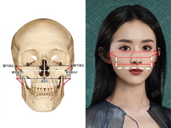 脸部颧骨位置图片