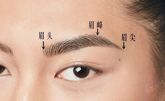 (3)眉梢微斜向下,末端与眉头水平,鼻翼与外眼角连线的延长线交