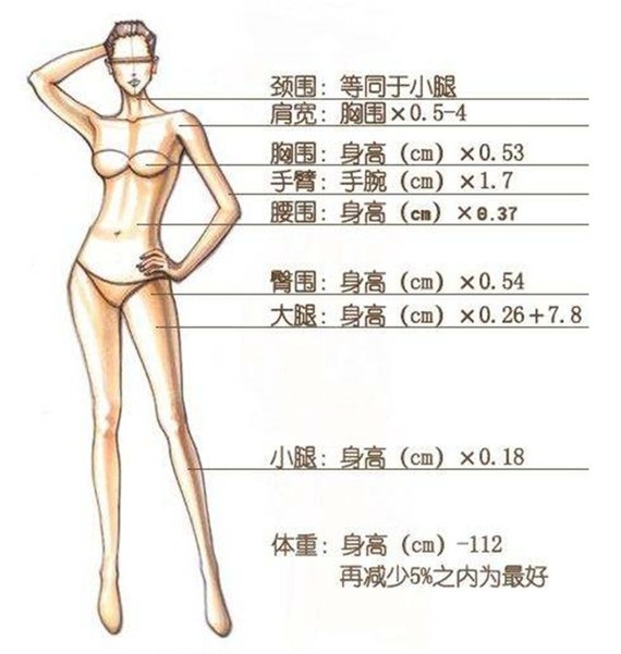 一,东方女性的形体围度标准.1,胸围:胸围应该为身高的1/2左右.