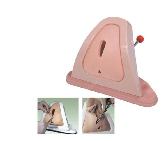 女性顺产,一定会做侧切,做了侧切就会损伤我们的阴道粘膜,皮肤,尿道