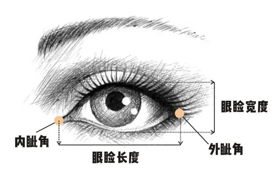 5分钟教你怎么选双眼皮宽度!