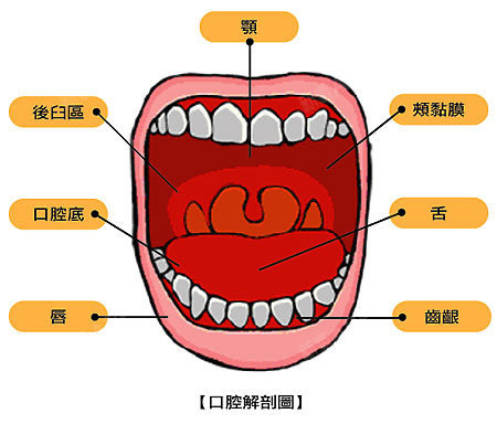 私密抗衰中粘膜保养有多重要