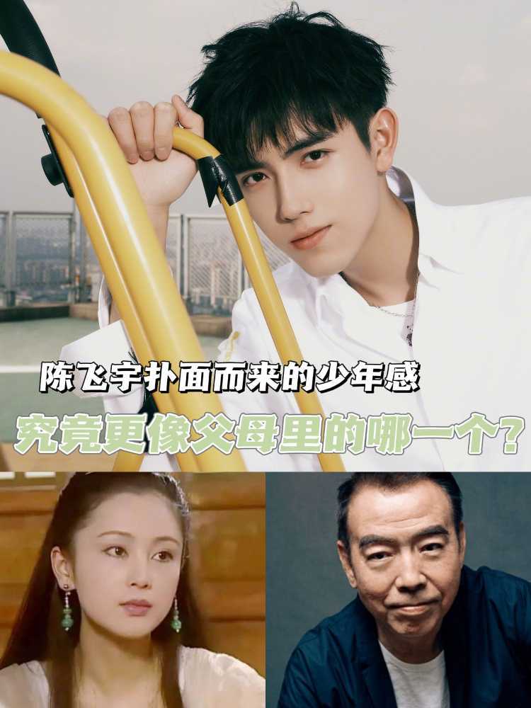 很多人都说陈飞宇更像陈红,但是给你们仔细看陈飞宇的照片就知道更像