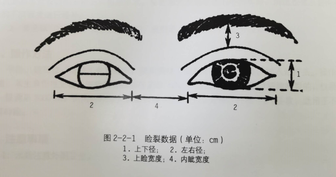 眼部与眶周美学及眼眶部应用解剖丨专业视点