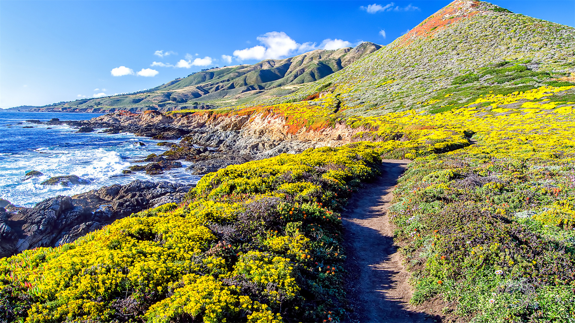 1"自体脂肪全脸填充